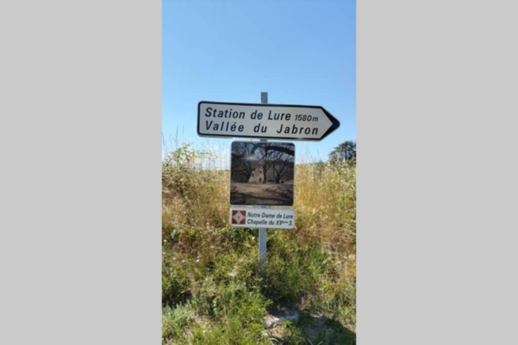 Villa La Lurette, Appartement Et Studio Saint-Étienne-les-Orgues Eksteriør bilde